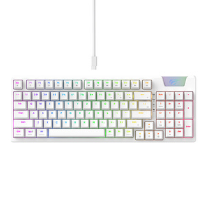 Herní klávesnice Havit KB885L RGB (bílá)