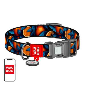 Waudog "Oranges" nylon dog collar with QR code, size M