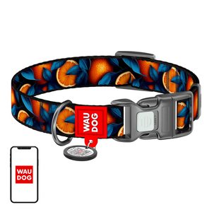 Waudog "Oranges" nylon dog collar with QR code, size S